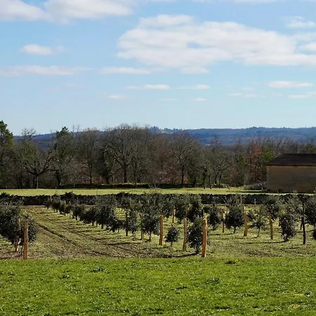Domaine Truffier Du Grand Merlhiot *