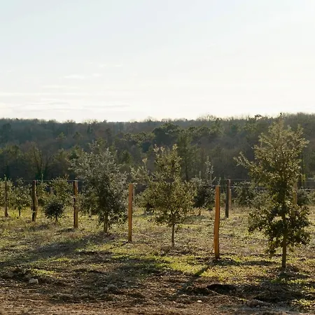 Domaine Truffier Du Grand Merlhiot Vendégház