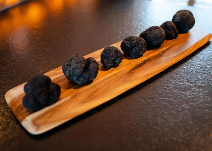 Domaine Truffier Du Grand Merlhiot بيت ضيافة *